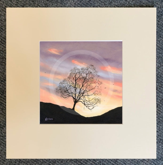 Pastel Skies, The Lonely Tree by Mark Braithwaite