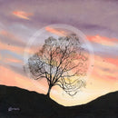 Pastel Skies, The Lonely Tree by Mark Braithwaite