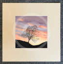 Pastel Skies, The Lonely Tree by Mark Braithwaite