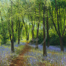 Perfect Day GICLEE PRINT by Paul Freeman