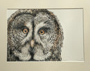 Phantom, Limited Edition Print by Nicola Gillyon - 14 x 11’’ - Limited Edition Print