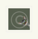 Playtime by Nicky Litchfield Limited Edition Print