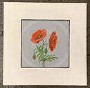 A square art original featuring two red-orange poppy flowers with green stems on a light gray background, surrounded by a wide cream-colored mat board, photographed flat against a dark textured surface.