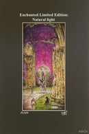 Beneath the Sheets; The Black Abbot - Enchanted Limited Edition; Celestial Lights