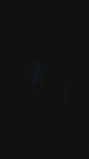 Watch the ghostly artwork glow under black light