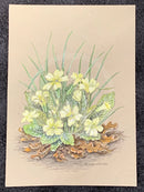 Primrose II by Natalja Olejnicka — miniature mixed media painting of primroses on olive green toned paper, delicate floral detail in soft yellows and greens
