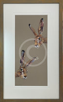 Rascals by Nicky Litchfield