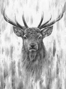 Red Stag Iii By Nolon Stacey Limited Edition Print