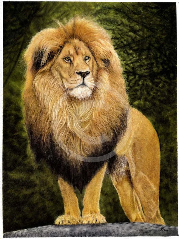 Regality (Lion) by Janine Lees