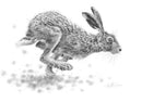 Running Hare Ii By Nolon Stacey