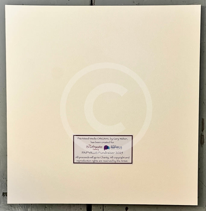 Certificate of Authenticity Saltwater Bay, an ORIGINAL Mixed Media from Gary Walton, for PAPYRUS