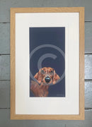 Sausage By Nicky Litchfield Limited Edition Print Framed 281 Oak (B)