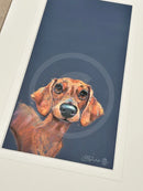 Sausage by Nicky Litchfield Limited Edition Print Limited Edition Print