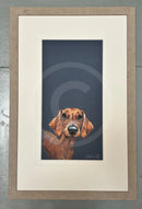 Sausage by Nicky Litchfield Limited Edition Print Framed 281 Almond (B) Limited Edition Print