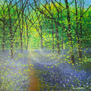 Scilla ORIGINAL by Paul Freeman