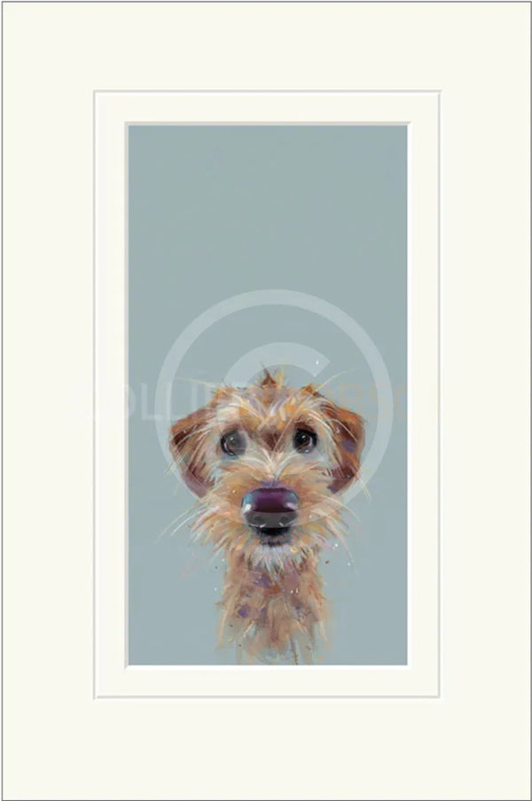 Scruff by Nicky Litchfield