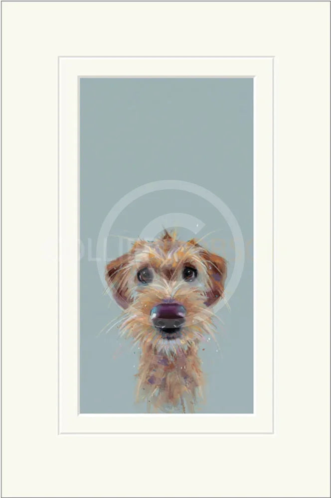 Scruff by Nicky Litchfield