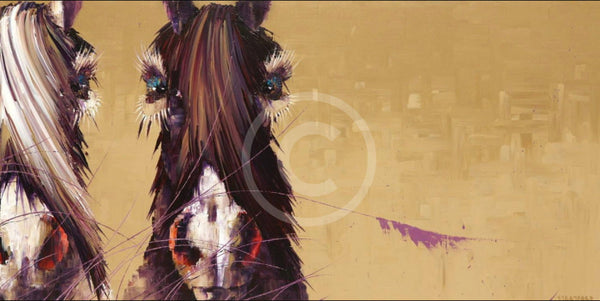Shadow Play Equestrian Horse Print By Amanda Stratford Only