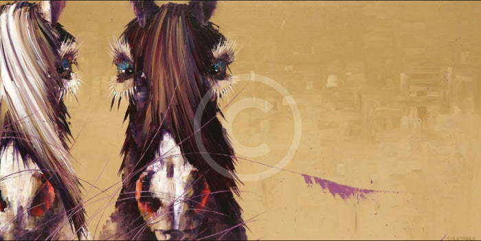 Shadow Play Equestrian Horse Print By Amanda Stratford Only
