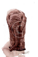 Shimba the Elephant, Limited Edition Print by Mary Ann Rogers