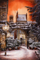 Silent Night Study Museum Gardens By Mark Braithwaite