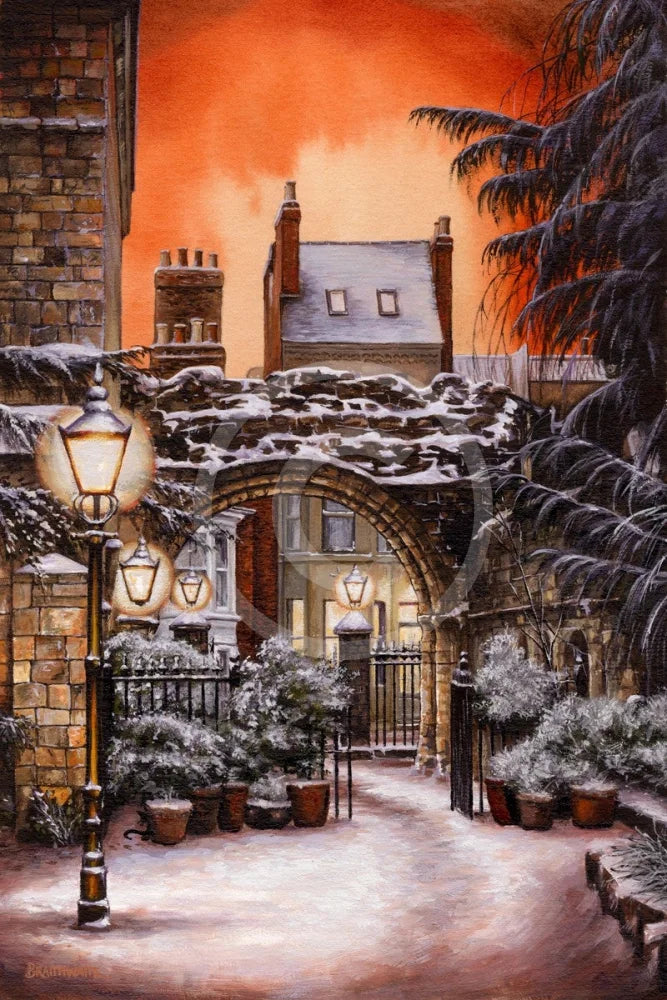 Silent Night Study Museum Gardens By Mark Braithwaite