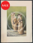 ‘Simples’ Limited Edition Meerkat Print by Lyndsey Selley