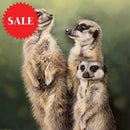 ‘Simples’ Limited Edition Meerkat Print by Lyndsey Selley