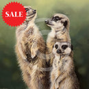 ‘Simples’ Limited Edition Meerkat Print by Lyndsey Selley