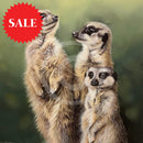 ‘Simples’ Limited Edition Meerkat Print by Lyndsey Selley