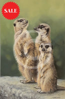 ‘Simples’ Limited Edition Meerkat Print by Lyndsey Selley
