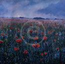 Sleep in a Poppy Field Miniature GICLEE PRINT by Paul Freeman