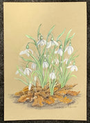 Snowdrops by Natalja Olejnicka — miniature mixed media painting of a cluster of snowdrops with white bell-shaped blooms on slender green stems, rising from autumn leaf litter on olive green toned paper