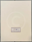 Certificate of Authenticity for Pierfolk, an ORIGINAL Mixed Media from Gary Walton, for PAPYRUS