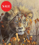 Autumn King, Limited Edition Wildlife Big Cat Lion Print by Lyndsey Selley