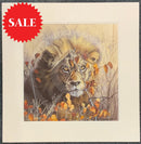 Autumn King, Limited Edition Wildlife Big Cat Lion Print by Lyndsey Selley