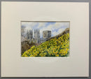 Daffodil Time, York City Walls - Natalja Olejnicka ORIGINAL WATERCOLOUR