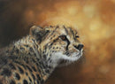 Junior, Wild Cat Limited Edition Print by Lyndsey Selley