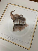 Little Heavyweight-Two, Limited Edition African Elephant Print by Warwick Higgs- Last One