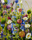 Mystic Meadow - Dreams Of Summer (24X24) Original Painting By Rozanne Bell