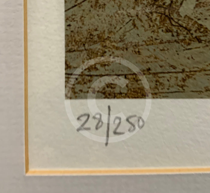 No Sheep on the Beach by Sam Toft - Framed Limited Edition SECONDARY MARKET  Edition Number detail