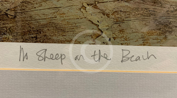 No Sheep On The Beach By Sam Toft - Framed Limited Edition Secondary Market title detail