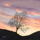 Pastel Skies, The Lonely Tree by Mark Braithwaite