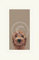 Choose Me by Nicky Litchfield