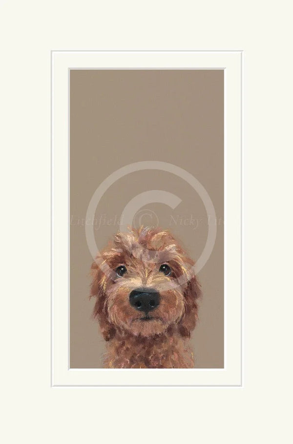 Choose Me by Nicky Litchfield