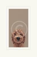 Choose Me by Nicky Litchfield