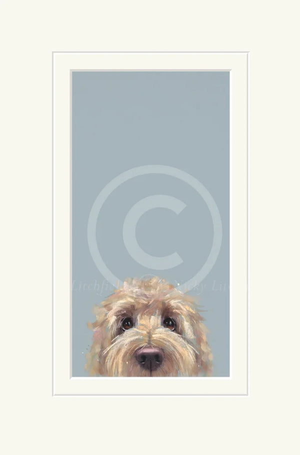 Peekaboo by Nicky Litchfield Limited Edition Print