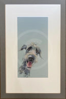 Scruffy Mutt by Nicky Litchfield