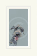 Scruffy Mutt by Nicky Litchfield