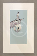 Top Of The Morning by Nicky Litchfield